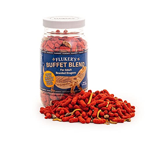 Fluker's Buffet Blend for Adult Bearded Dragons Dragons Bearded dragon owners who