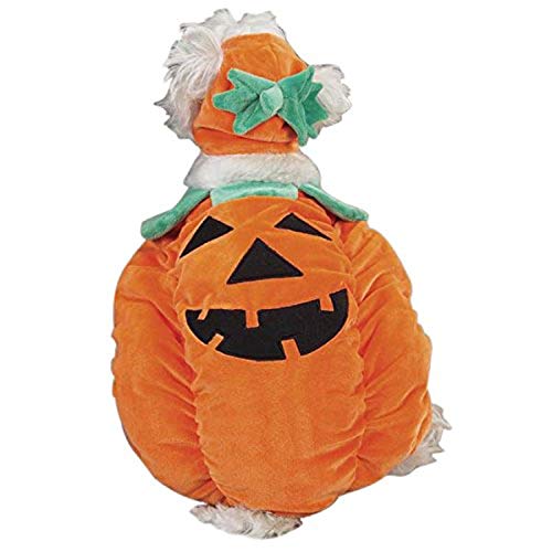 California Costumes Pumpkin Pooch