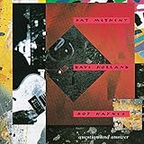 Question And Answer [with Dave Holland and Roy Haynes] (1990)