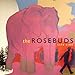 Song Nice Fox by The Rosebuds on Life Like at Amazon