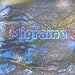 Song 291 - Spring 00_01_37 to 00_07_21 by MIGRAINE on 291 - Spring at Amazon