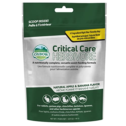 Oxbow Critical Care Herbivore, Emergency Guinea Pig Food, Rabbit Food for Recovery, Natural Apple Banana Flavor, Veterinary Formula, Critical Care for Guinea Pig Emergency Kit, Made in USA, 141 Grams