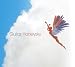 Song Love Is Slow by Guitar on Honeysky at Amazon