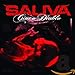 Song Family Reunion by Saliva on Cinco Diablo at Amazon