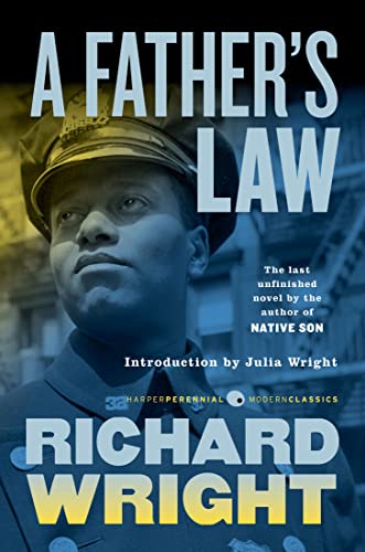 A Father's Law book cover
