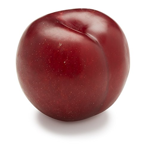 Red Plum