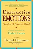Destructive Emotions A Scientific Dialogue With The Dalai Lama English Edition