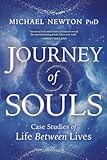 Journey Of Souls Case Studies Of Life Between Lives English Edition