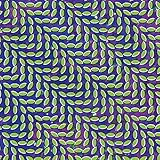 Merriweather Post Pavilion