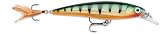 Rapala X-Rap · 10 cm