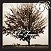 Song Black Eye by Chris Trapper on Til The Last Leaf Falls at Amazon