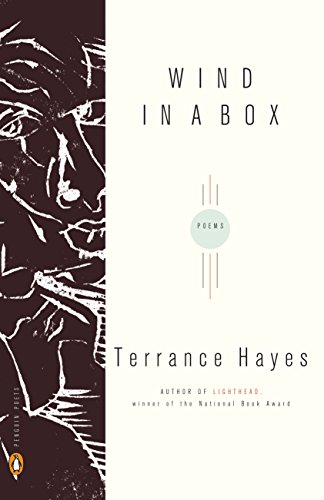 Wind In A Box book cover