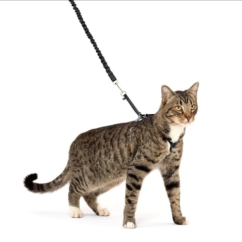 PetSafe Come With Me Kitty Harness and Bungee Leash, Harness for Cats, Large, Black/Silver, CWMK-L-BLK