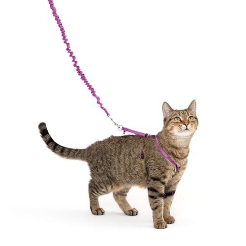 PetSafe Come with Me Kitty Harness PetSafe Come with Me Kitty Harness and Bungee Cat Leash, Dusty Rose, Small | Adjustable 2-Point Fit Applies Gentle Pressure to Shoulders, Not Neck, for Kittens and Small Cats with 9 in - 11 in Girth