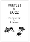 Beetles Bugs English Edition