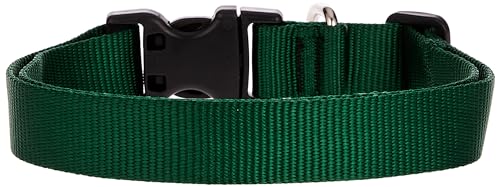LupinePet Basics 1 Inch Green Adjustable Dog Collar 16-28 Inch