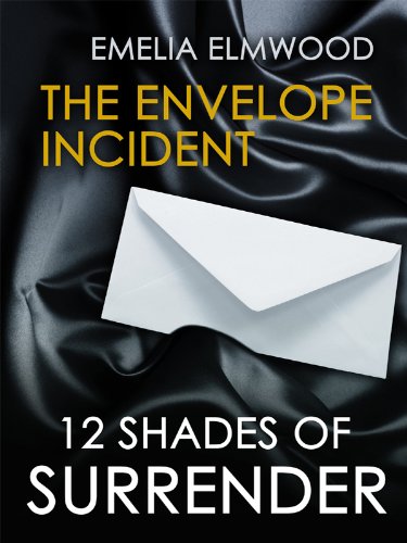 The Envelope Incident book cover