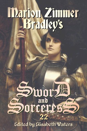 Sword and Sorceress 22 book cover
