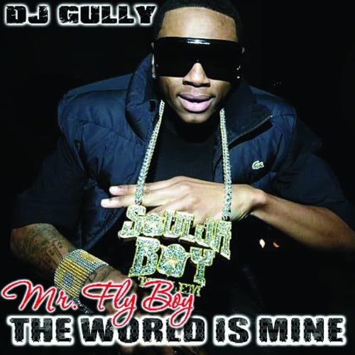 Mr. Fly Boy