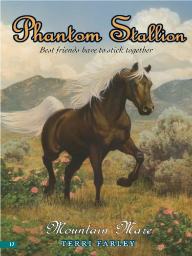 Mountain Mare book cover