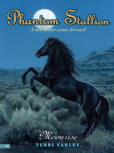 Moonrise book cover