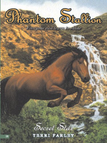 Secret Star book cover