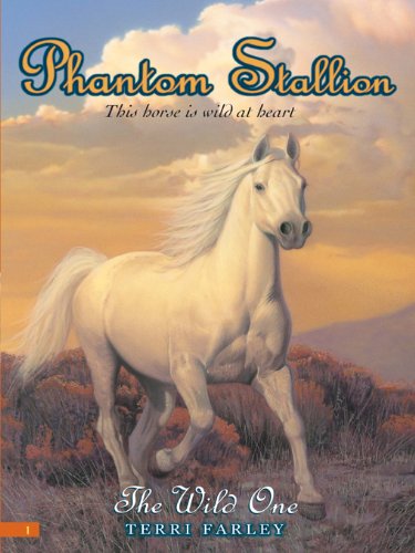 The Wild One book cover