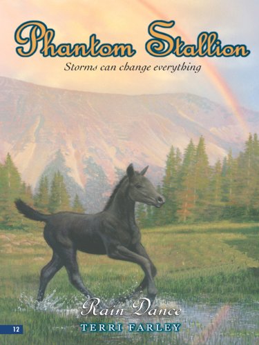 Rain Dance book cover