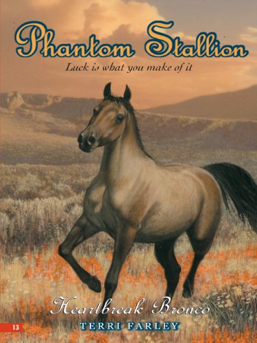 Heartbreak Bronco book cover