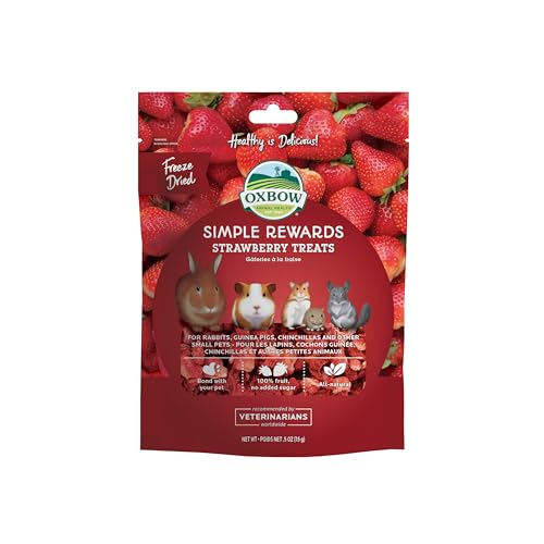 Oxbow Animal Health Simple Rewards Small Pet Treats, Freeze Dried Fruit, Guinea Pig & Bunny Treats, Healthy Pet Fruit Snack for Rabbit & Guinea Pig, Freeze Dried Strawberries, 0.5 oz Bag