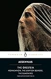 The Oresteia Agamemnon The Libation Bearers The Eumenides English Edition