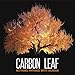 Song Cinnamindy by Carbon Leaf on Nothing Rhymes With Woman (AMAZON EXCLUSIVE) at Amazon