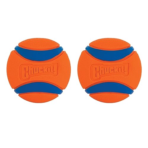 Chuckit! Ultra Ball Dog Toy, Balls for Dogs to Fetch, Durable Rubber, Small 2-inch, Pack of 2