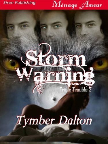 Storm Warning book cover