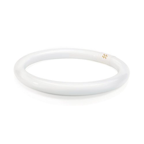 Philips Circline Fluorescent Tube Light Bulb Its unique shape and bright glow make