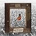 Song Birds Without a Wire by Magnolia Summer on Lines from the Frame at Amazon