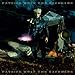 Song Blackdown by Patrick Wolf on The Bachelor at Amazon