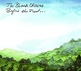 Before The Frost... (2009)