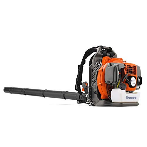 EGO Power+ LB6504 Leaf Blower A gas-powered, professional-grade tool that is suitable