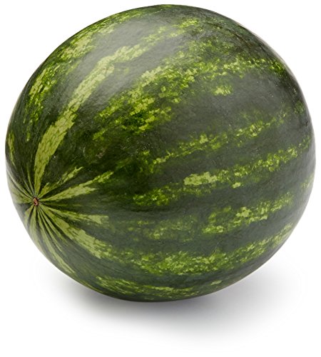 Mini Seedless Watermelon, 1 Each