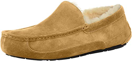 ugg ascot slipper chestnut