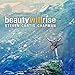 Song Februray 20th by Steven Curtis Chapman on Beauty Will Rise at Amazon