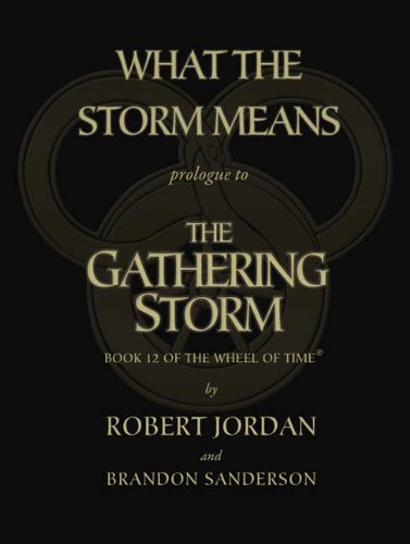 What the Storm Means book cover