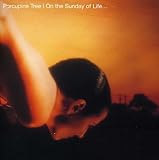 On the Sunday of Life