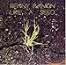 Song Sometimes by Kenny Rankin on Like a Seed at Amazon