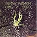 Song Like a Seed by Kenny Rankin on Like a Seed at Amazon