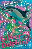 Secret Friends Silver Dolphins Book 2 English Edition