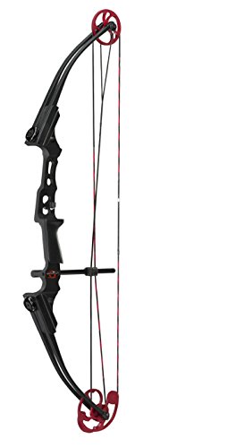 Genesis Mini Youth Bow (RH Black)