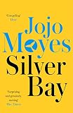 Silver Bay English Edition