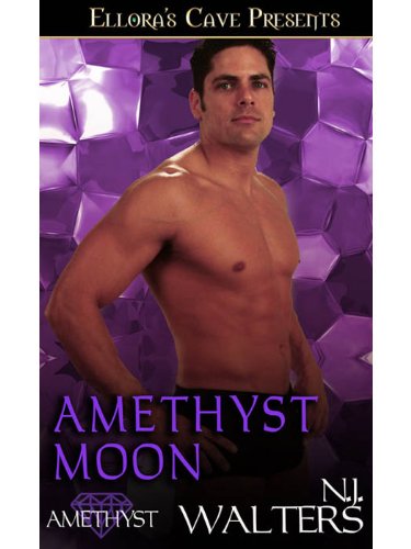 Amethyst Moon book cover